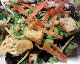 Rocco's Almost Everythings in it Looseleaf Salad recipe step 2 photo