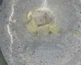 Foto del paso 4 de la receta: Pancitos saborizados