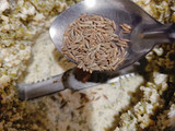 Nutritious Chilla