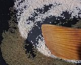 A picture of step 1 of Sesame Energy Balls.