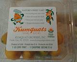 Kumquat and Birdseye chili infused sauce recipe step 1 photo