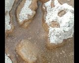 Foto del paso 5 de la receta: Galletitas veganas integrales de pera 🍐