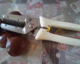 A picture of step 5 of Store Fresh Chestnuts & Solve the Tricky Question of Peeling Them.