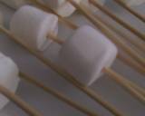 Smores Pops recipe step 1 photo