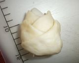 A picture of step 8 of Bamboo Shoot Shaped bread.