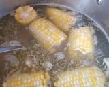 Foto del paso 3 de la receta: Caldo Tlapeño a mi Estilo