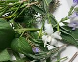 Foto del paso 7 de la receta Agua mágica de San Juan