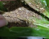 A picture of step 3 of Mirch pakora.
