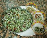 સ્પ્રાઉટ મિક્સ કઠોળ ટીકી (Sprout Mix Kathol Tiki Recipe In Gujarati) રેસીપી સ્ટેપ1ફોટો