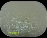 صورة لخطوة 3 من وصفة كب كيك