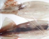 A picture of step 1 of Whole Stewed Squid With Instructions for Preparation.
