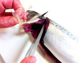 A picture of step 6 of How to Fillet a Whole Fish.