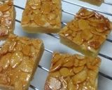 A picture of step 13 of My Florentines.