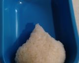 A picture of step 3 of Hoppe-Chan Bento.