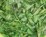Hình bước làm 3 của món Canh cà rốt táo đỏ kỳ tử thịt heo nấu xà lách xoong