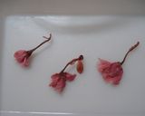 A picture of step 2 of Salt-Cured Cherry Blossoms.