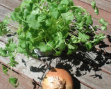 A picture of step 1 of Onion Chutney.