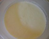 A picture of step 10 of Irmgards Lemon/orange & Coconut Icecream.
