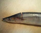 How to Clean Pacific Saury recipe step 1 photo