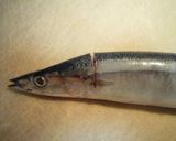 A picture of step 1 of How to Clean Pacific Saury.