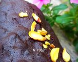 عکس مرحله 3 از دستور کیک براونی شکلاتی