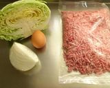 A picture of step 1 of Ground Meat Cutlets Juicy with Cabbage and Pork.