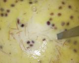A picture of step 5 of Vermicelli kheer.
