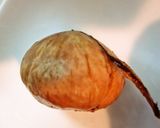 A picture of step 8 of The Black Jewels Of Fall - Basic Chesnuts Simmered In Their Inner Skins.