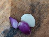 Egg Veggie