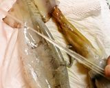 A picture of step 4 of How To Clean Squid - You Can Eat The Legs and Liver, Too!.