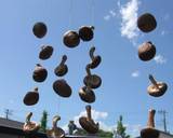 Sun Dried Shiitake Mushrooms with Butter and Soy Sauce