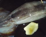 A picture of step 5 of Whole Stewed Squid With Instructions for Preparation.