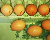 A picture of step 3 of Tex's Tips for Fresh Eggs.