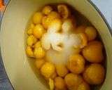 A picture of step 10 of Loquat Compote in 20 Minutes.