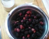 Foto del paso 1 de la receta: Mermelada de moras