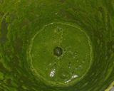 A picture of step 1 of Moong dal palak cheela rolls.