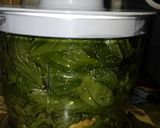 Foto del paso 2 de la receta: Salsa pesto