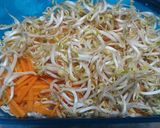 Foto langkah ke 1 dari resep Rujak Cuka aka Asinan Bogor.