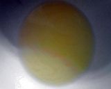 A picture of step 4 of Sweet Toasted Acorn ( Winter ) Squash Seeds.