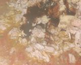 Foto langkah ke 2 dari resep Martabak Mini Ayam.