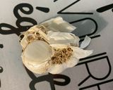 Une image de l'étape 2 de Marinade moutarde ail chèvre basilic au bouillon de champignons.