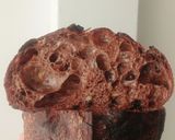 Foto langkah ke 24 dari resep Orange Peel Double Chocolate Sourdough Bread.