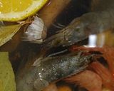 Foto del paso 2 de la receta: Mejillones marinera