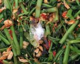 Foto langkah ke 5 dari resep Tumis kangkung tempe rebon.