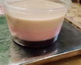 Foto langkah ke 6 dari resep Puding aneka Rasa.