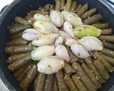 صورة لخطوة 7 من وصفة ورق عنب بزيت
