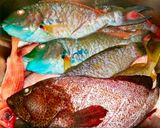Foto del paso 1 de la receta: Pescado frito al estilo Dominicano!