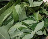 Foto langkah ke 1 dari resep Sayur Daun Singkong.