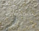 Foto langkah ke 4 dari resep Perkedel Jagung ala Violet Azalea.