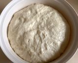 A picture of step 5 of No-Knead Simple White Bread.